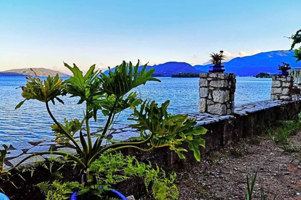 Villa Violeta Lefkada Nydri エクステリア 写真