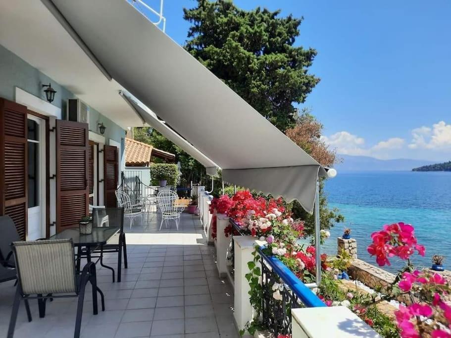Villa Violeta Lefkada Nydri エクステリア 写真